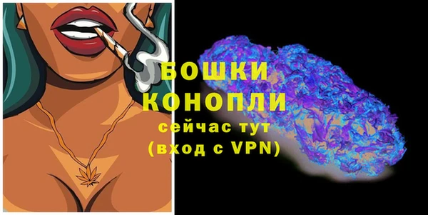 дурь Краснослободск
