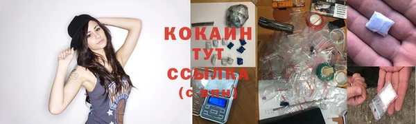 дурь Краснослободск