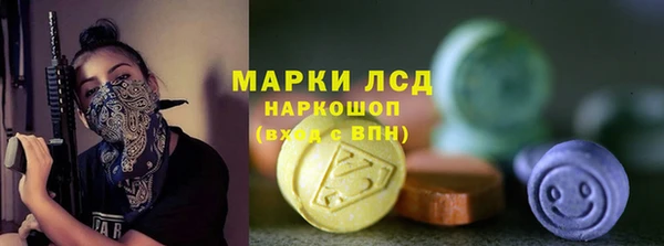 дурь Краснослободск