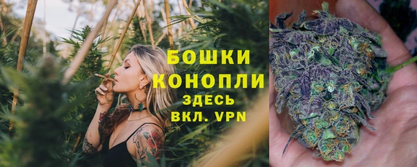 дурь Краснослободск