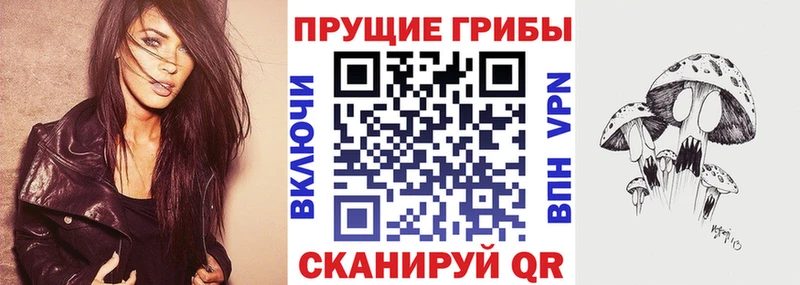 Псилоцибиновые грибы Psilocybine cubensis  Купить  Белоусово 