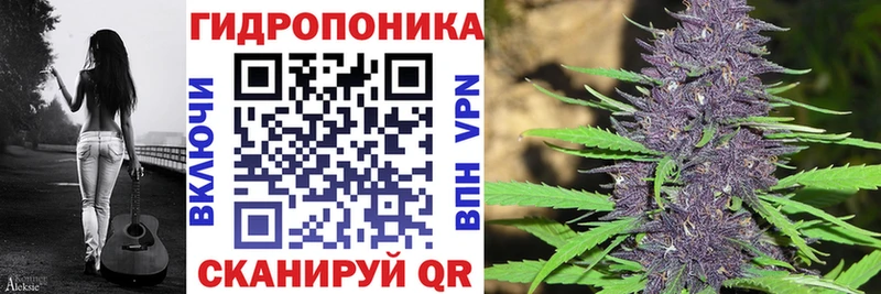 Бошки Шишки сатива  Купить где  Белоусово 
